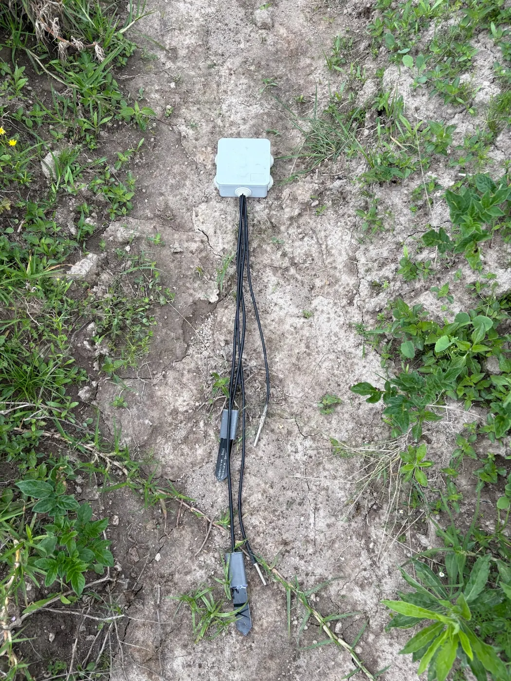 Small white sensor box with black cables and probe tips lying on cracked pale soil edged with green weeds.
