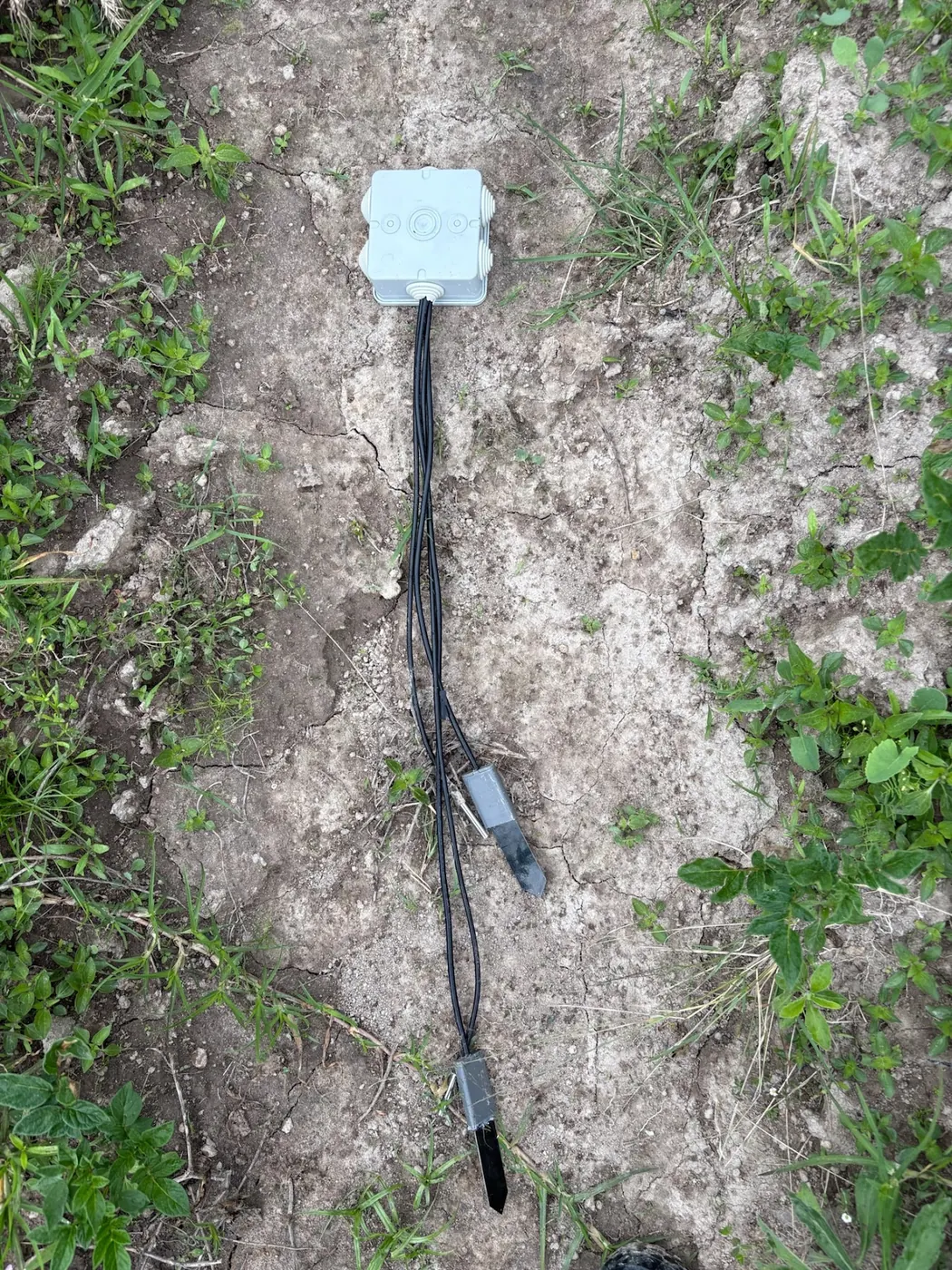 A white sensor box on pale cracked soil with two black cables running to two probes, weeds around.